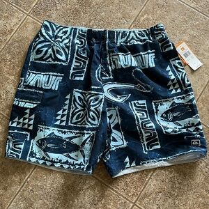 Quiksilver Mens Swim Trunks